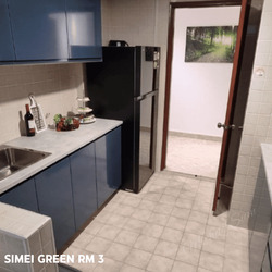 Simei Green Condominium (D18), Condominium #586797171